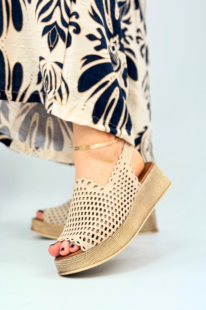 T.Sokolski BK L22-312 platinové žabky